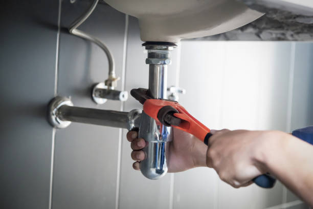 La Vista, NE Plumbing Pros