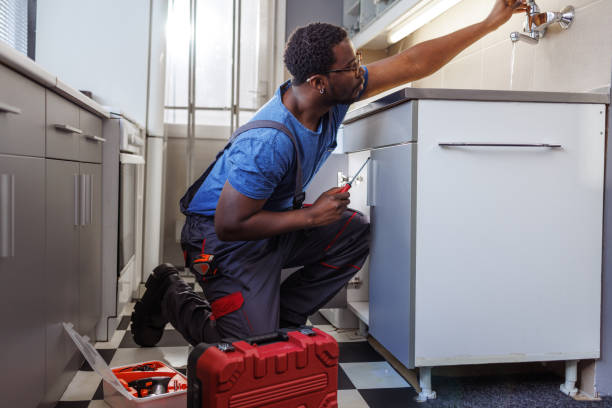 Best Drain Cleaning Services  in La Vista, NE